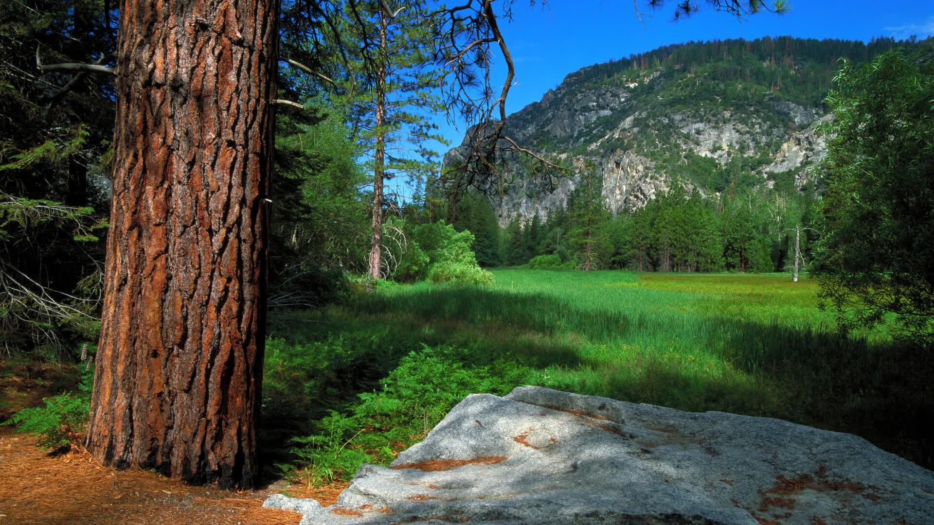世界壁球公开赛：新规则推动赛事观赏性，壁球世锦赛